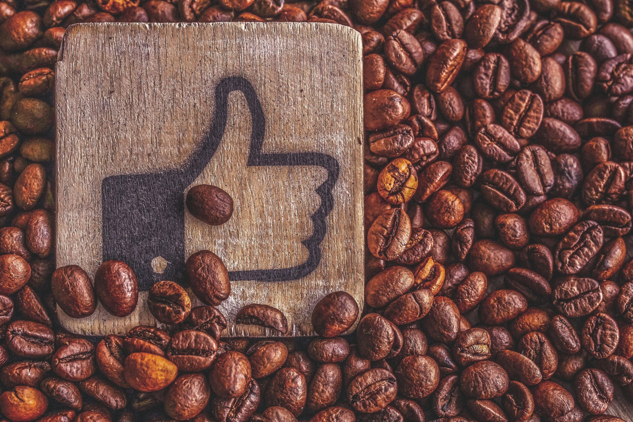 Read more about the article How to Grow Your Social Media Following—Without Paying a Cent in 2025